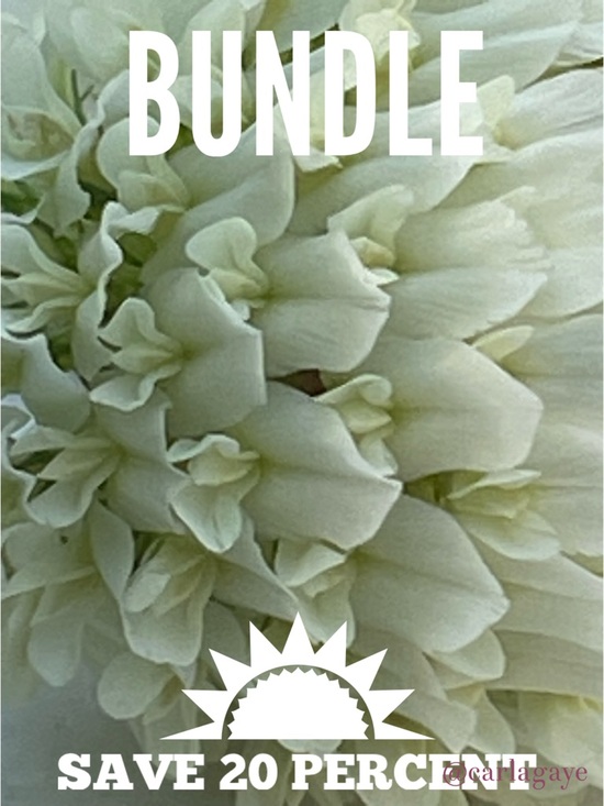 Meet the Posher Other - Come See My Closet!😊